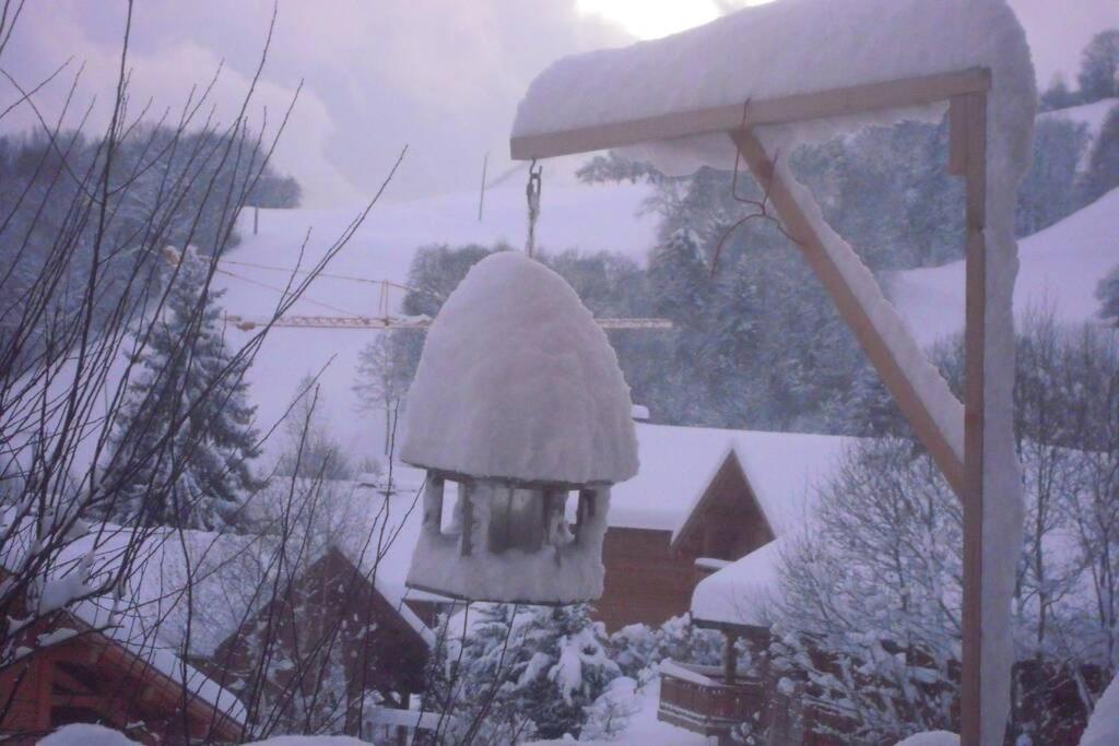 A4 Km De Megeve Tres Joli Studio Avec Jacuzzi ,Vue Sur Les Montagnes Au Calme Praz-sur-Arly Zewnętrze zdjęcie