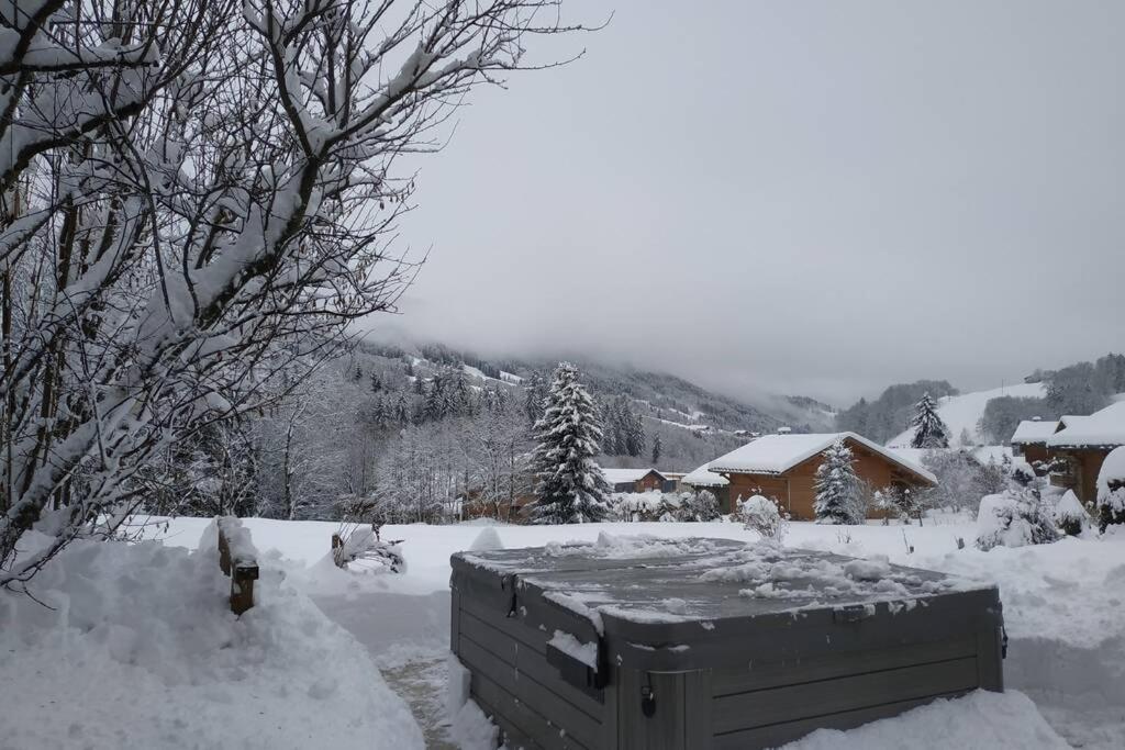 A4 Km De Megeve Tres Joli Studio Avec Jacuzzi ,Vue Sur Les Montagnes Au Calme Praz-sur-Arly Zewnętrze zdjęcie
