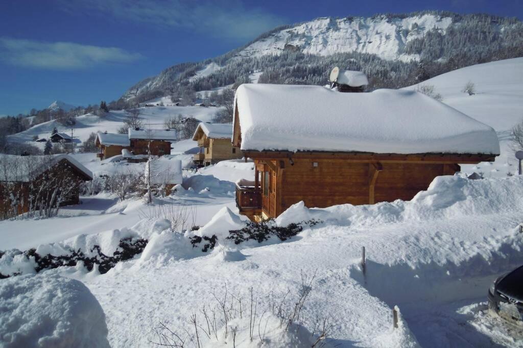 A4 Km De Megeve Tres Joli Studio Avec Jacuzzi ,Vue Sur Les Montagnes Au Calme Praz-sur-Arly Zewnętrze zdjęcie