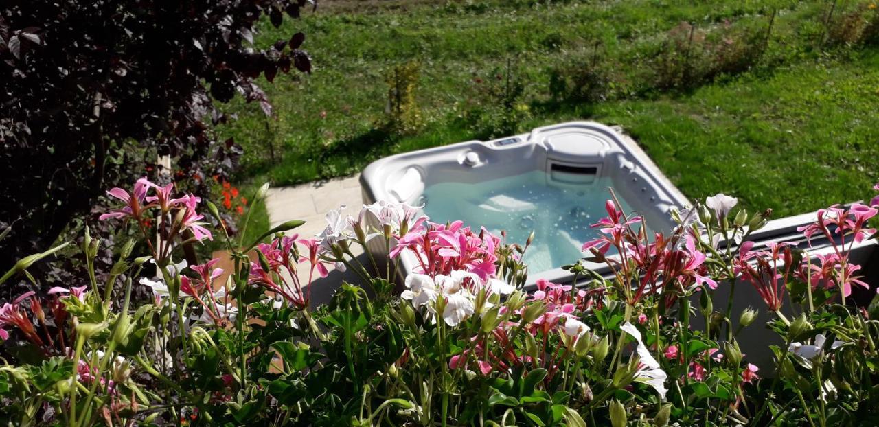 A4 Km De Megeve Tres Joli Studio Avec Jacuzzi ,Vue Sur Les Montagnes Au Calme Praz-sur-Arly Zewnętrze zdjęcie