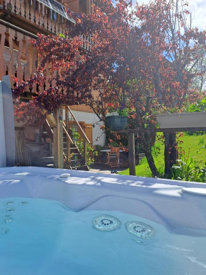 A4 Km De Megeve Tres Joli Studio Avec Jacuzzi ,Vue Sur Les Montagnes Au Calme Praz-sur-Arly Zewnętrze zdjęcie